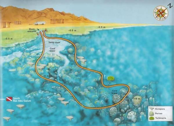 Ras Abu Gallum