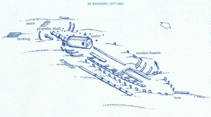 SS Wauchope