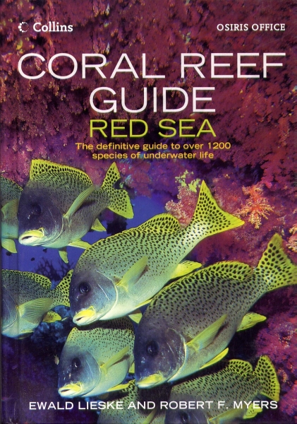 Coral reef guide