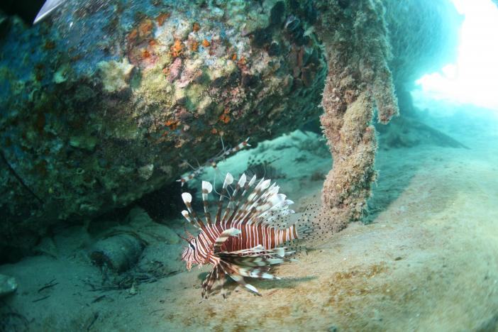 BARAKUDA DIVING CENTER LOTUS BAY