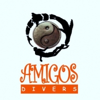 AMIGOS DIVERS
