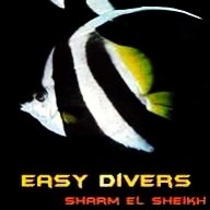 EASY DIVERS SHARM