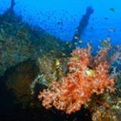    (Nusa Penida)