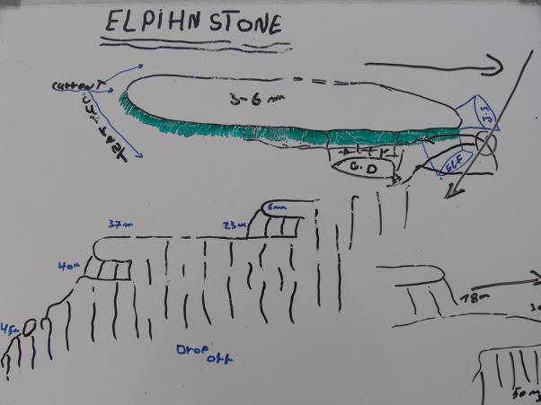 Elpihn Stone