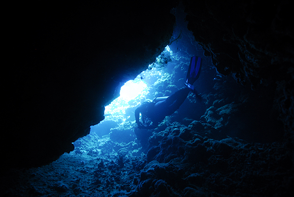 Подводные пещеры и каньоны.