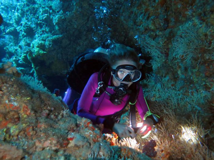   -    http://www.acdcdivingphuket.com/