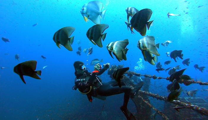   Chang Wreck