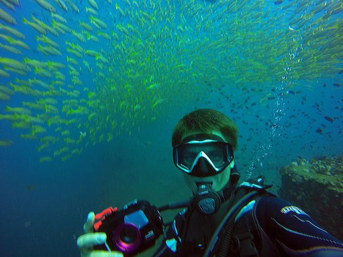   Chang Wreck