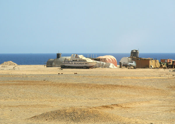    Beach Safari