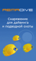 REMADIVE