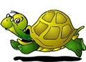 YELLOW TURTLE  