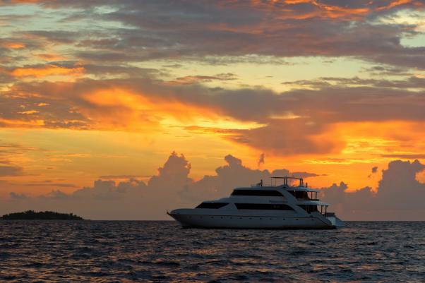 M/Y Princess Ushwa