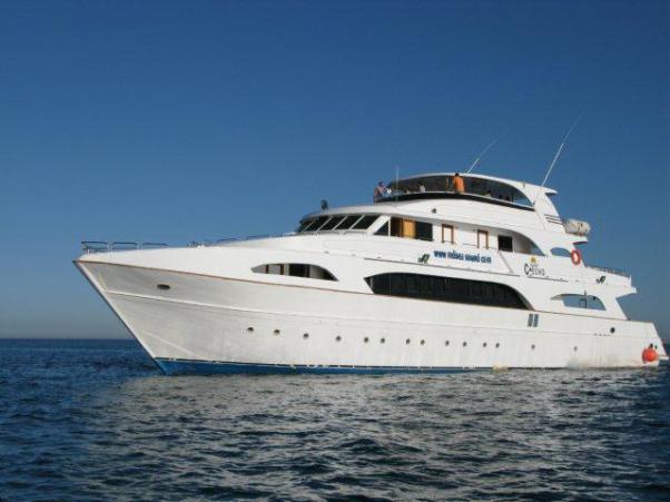 M/Y C*Echo