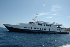 -   Sea Queen     ,  : --.